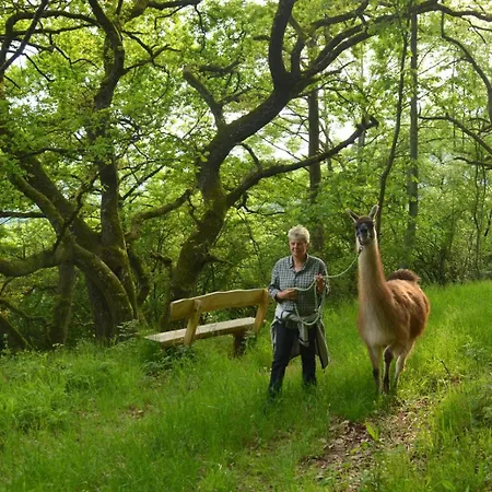 Zur Angenehmen Gegend Апартаменты *