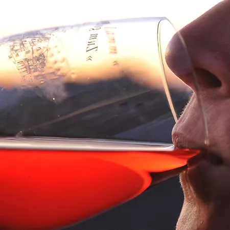 Zur Angenehmen Gegend آنفايلار آم تريفلز