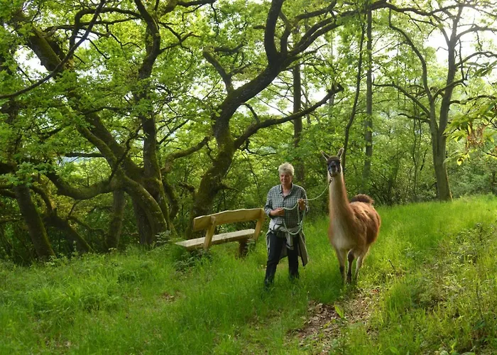 Zur Angenehmen Gegend Lägenhet *