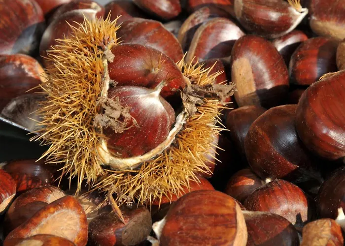 Zur Angenehmen Gegend Daire Annweiler am Trifels