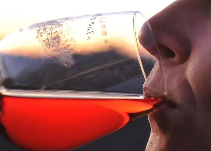 Zur Angenehmen Gegend Annweiler am Trifels